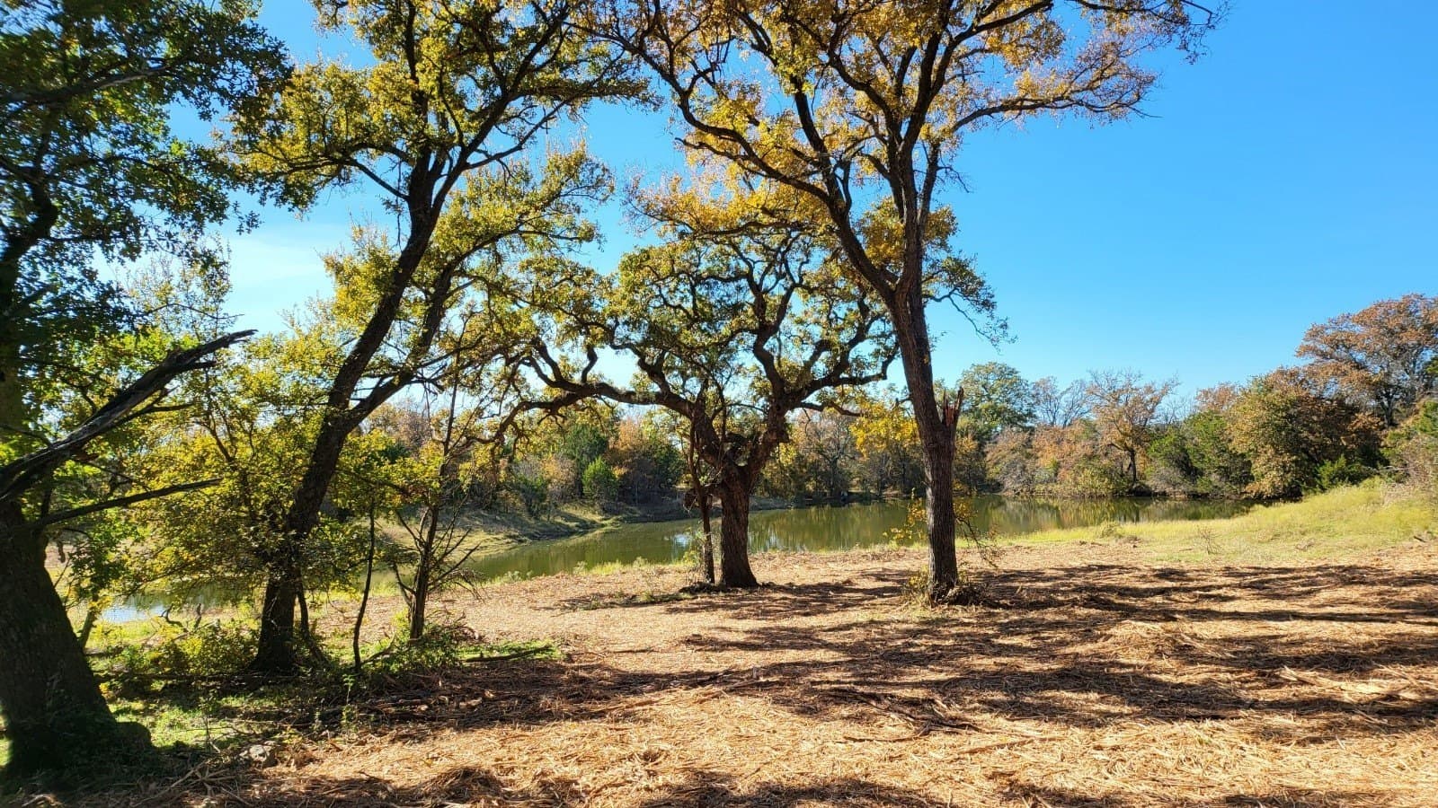 5.03 acres in Palo Pinto County - photo 5