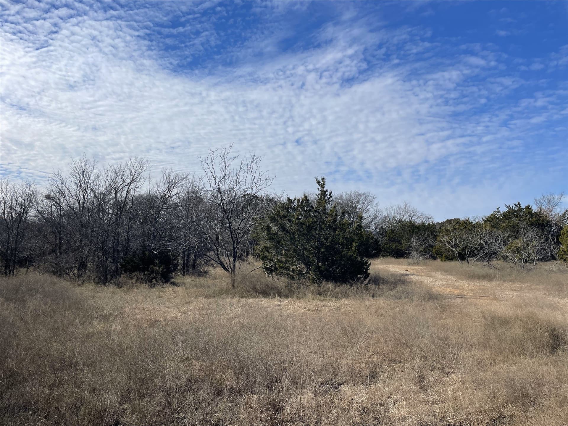 5.03 acres in Palo Pinto County - photo 14