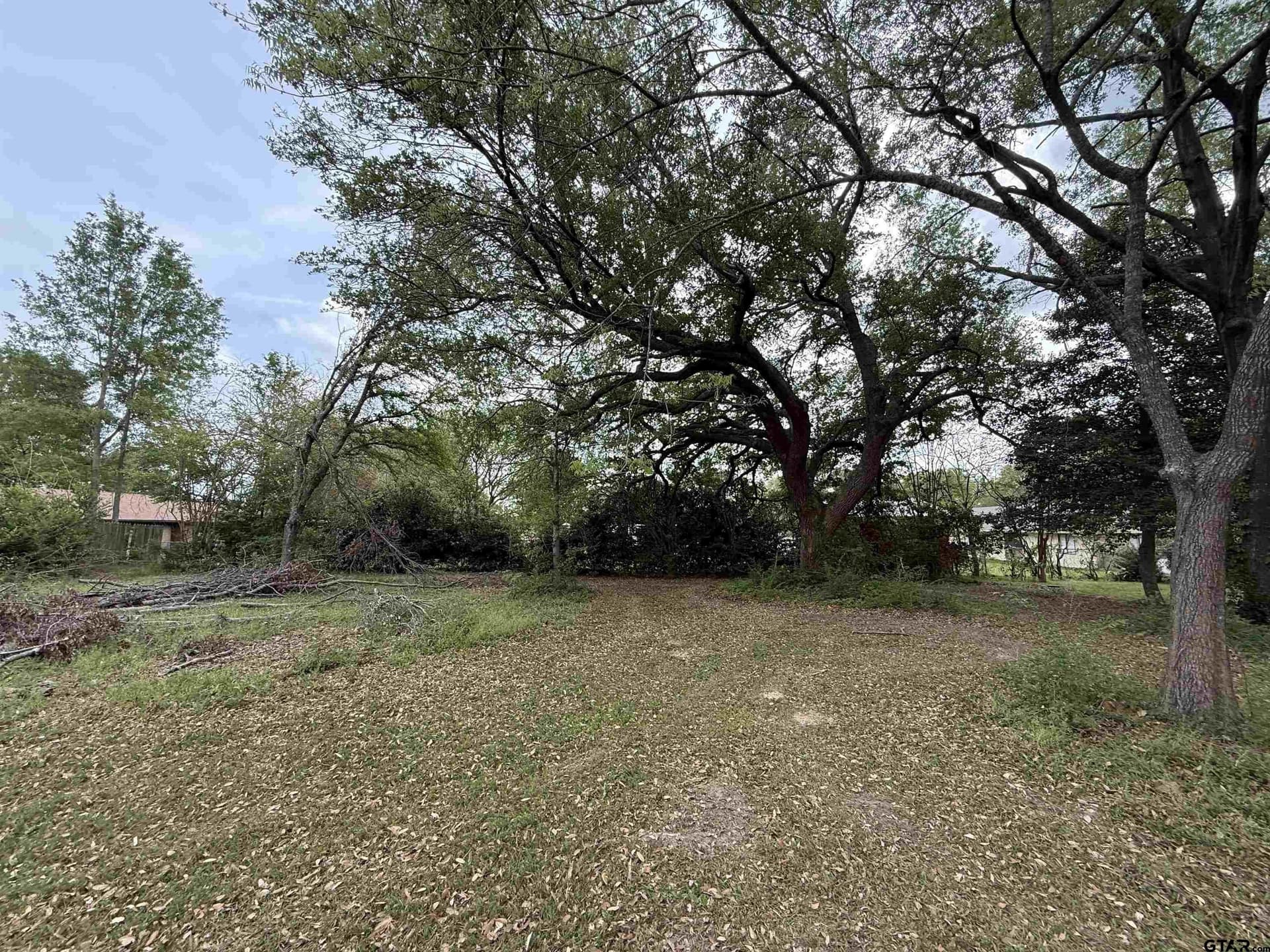 0.4 acres in Smith County - photo 5