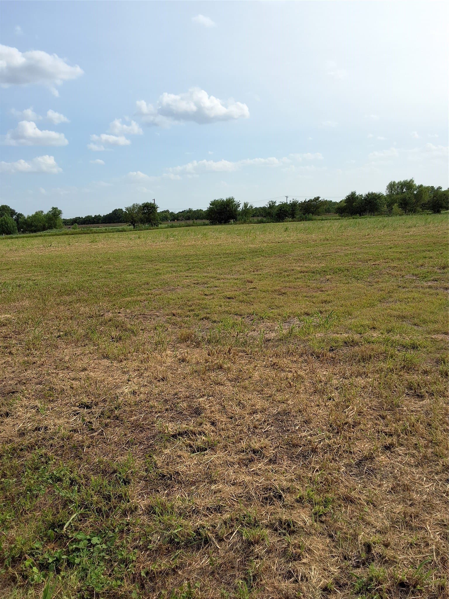 1.6 acres in McLennan County gallery image 3