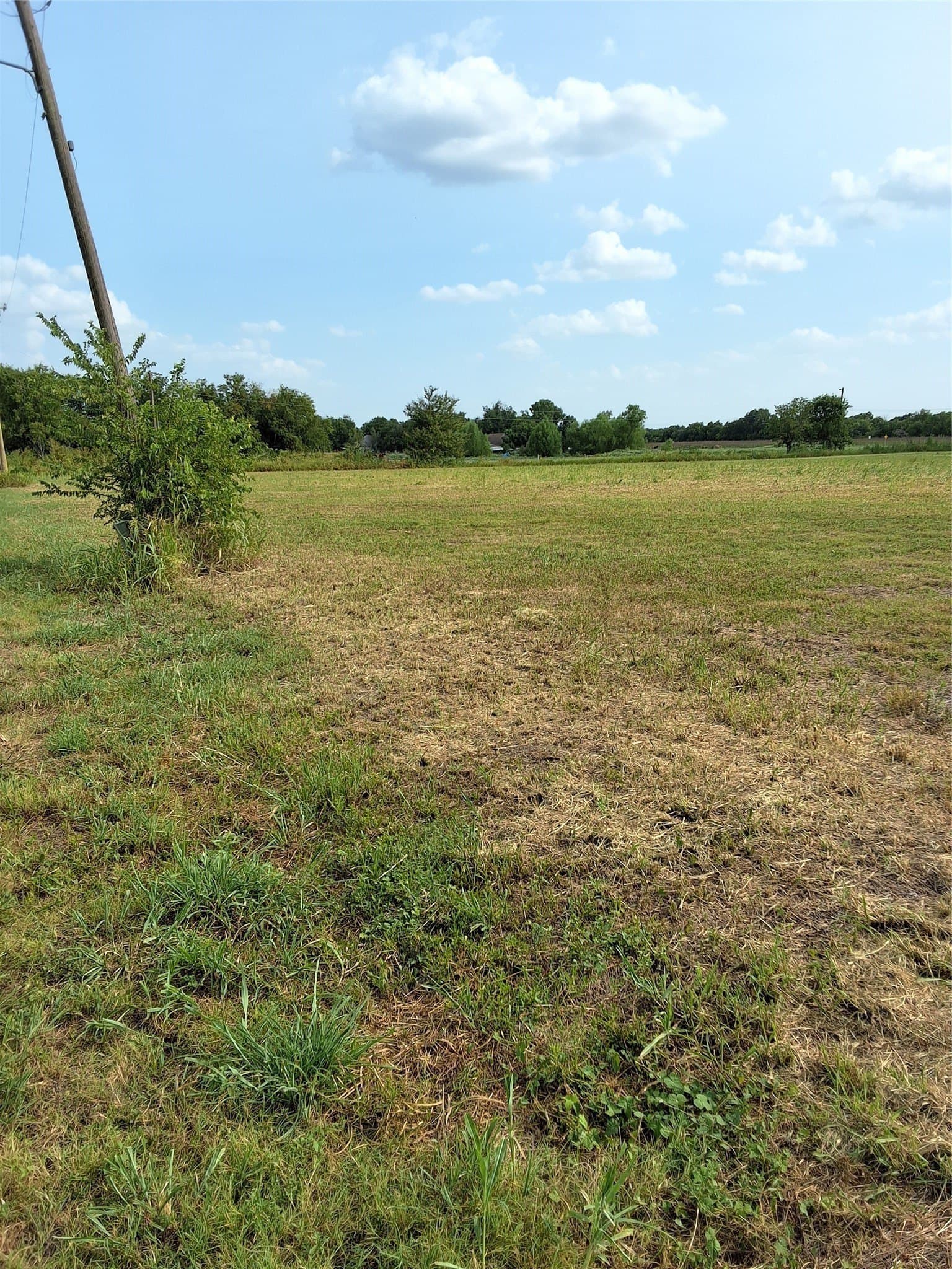 1.6 acres in McLennan County gallery image 2