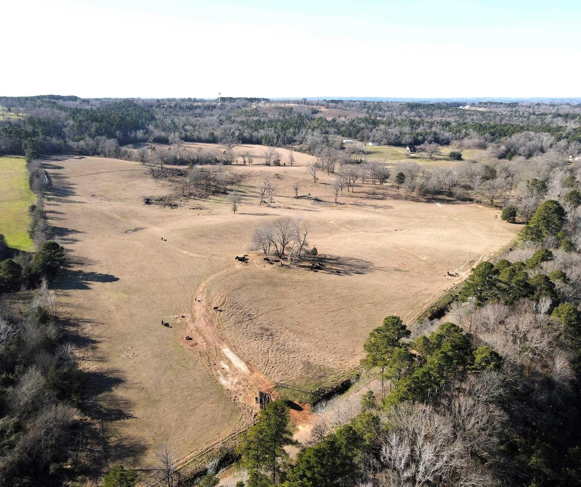 61.18 acres in Cherokee County