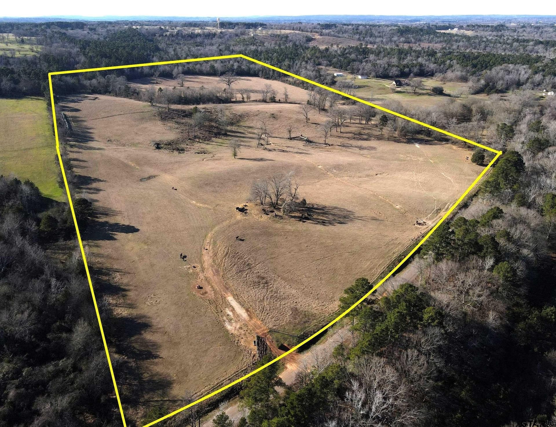 61.18 acres in Cherokee County gallery image 2