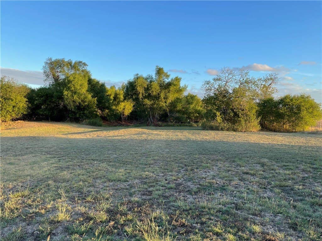 57 acres in Falls County gallery image 3