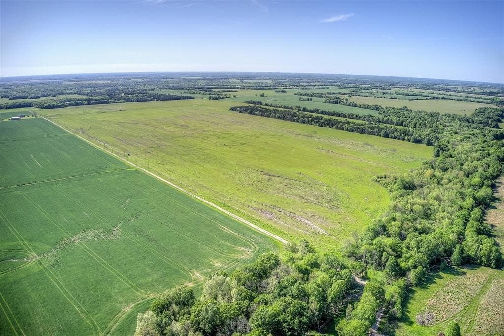 216.56 acres in Red River (TX) County gallery image 4