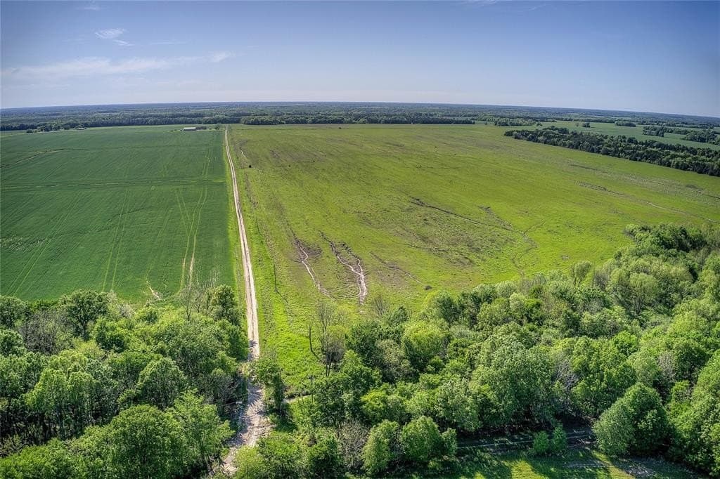 216.56 acres in Red River (TX) County featured view