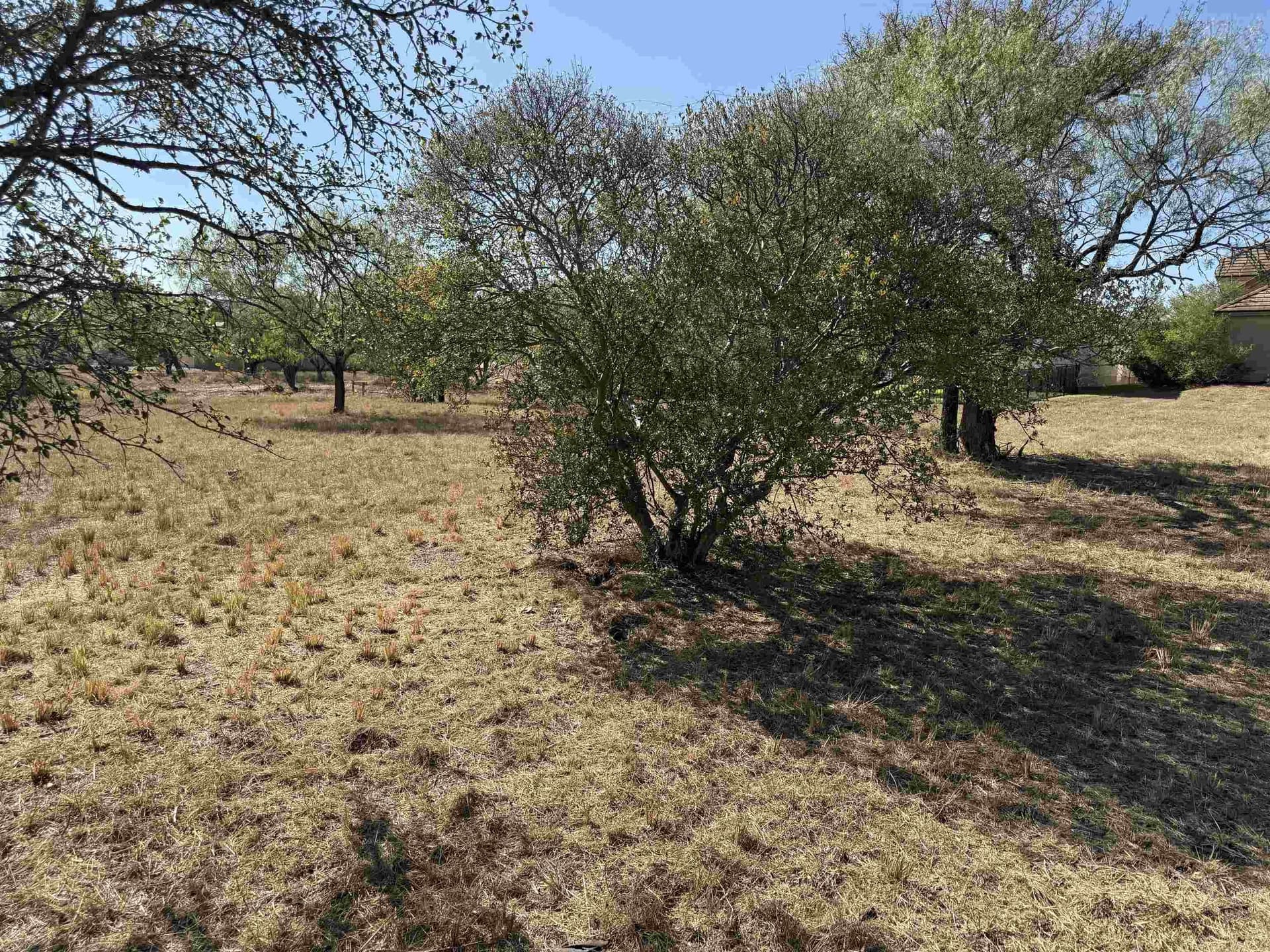 0.14 acres in Llano County - photo 11