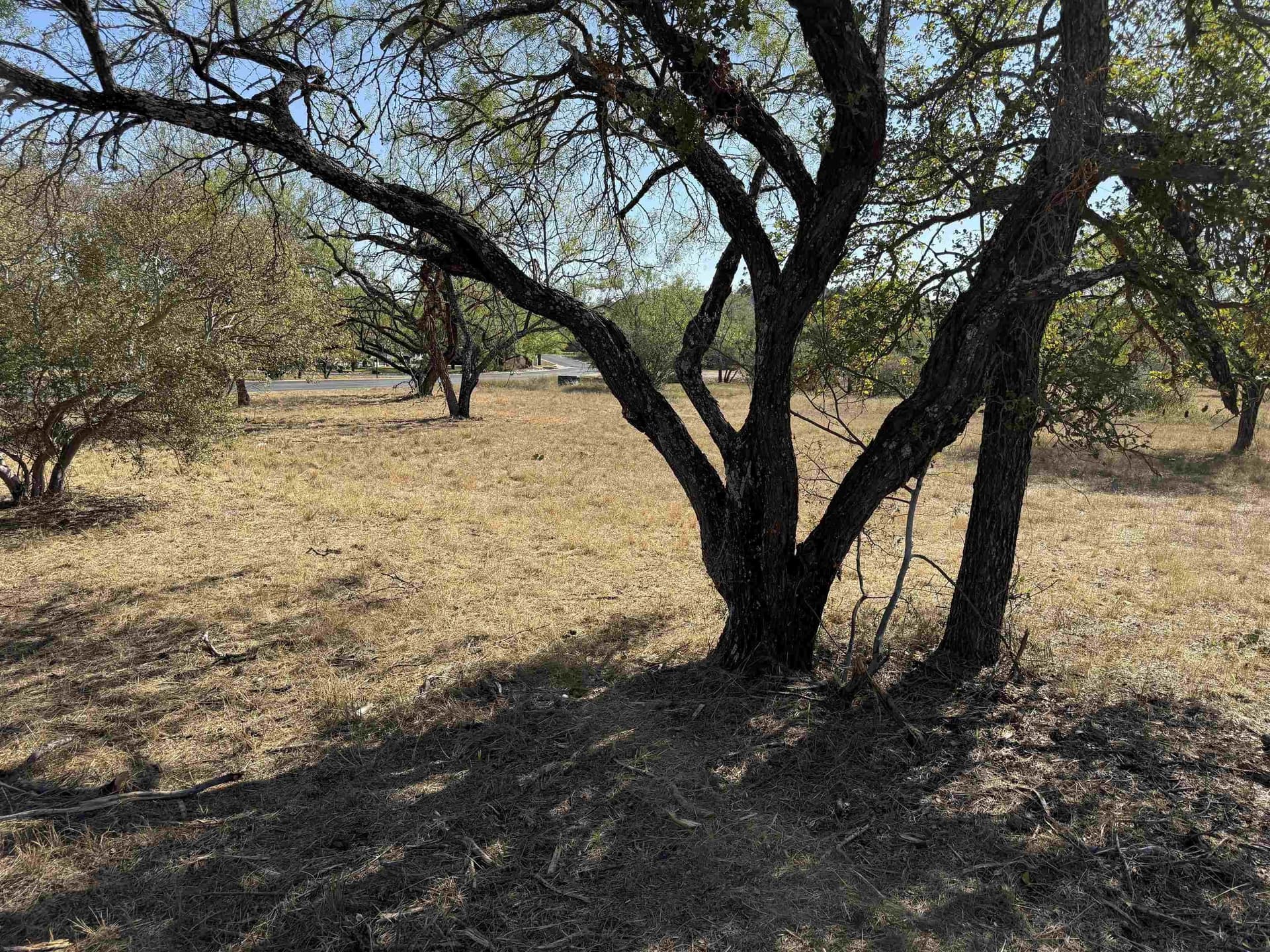 0.14 acres in Llano County - photo 8