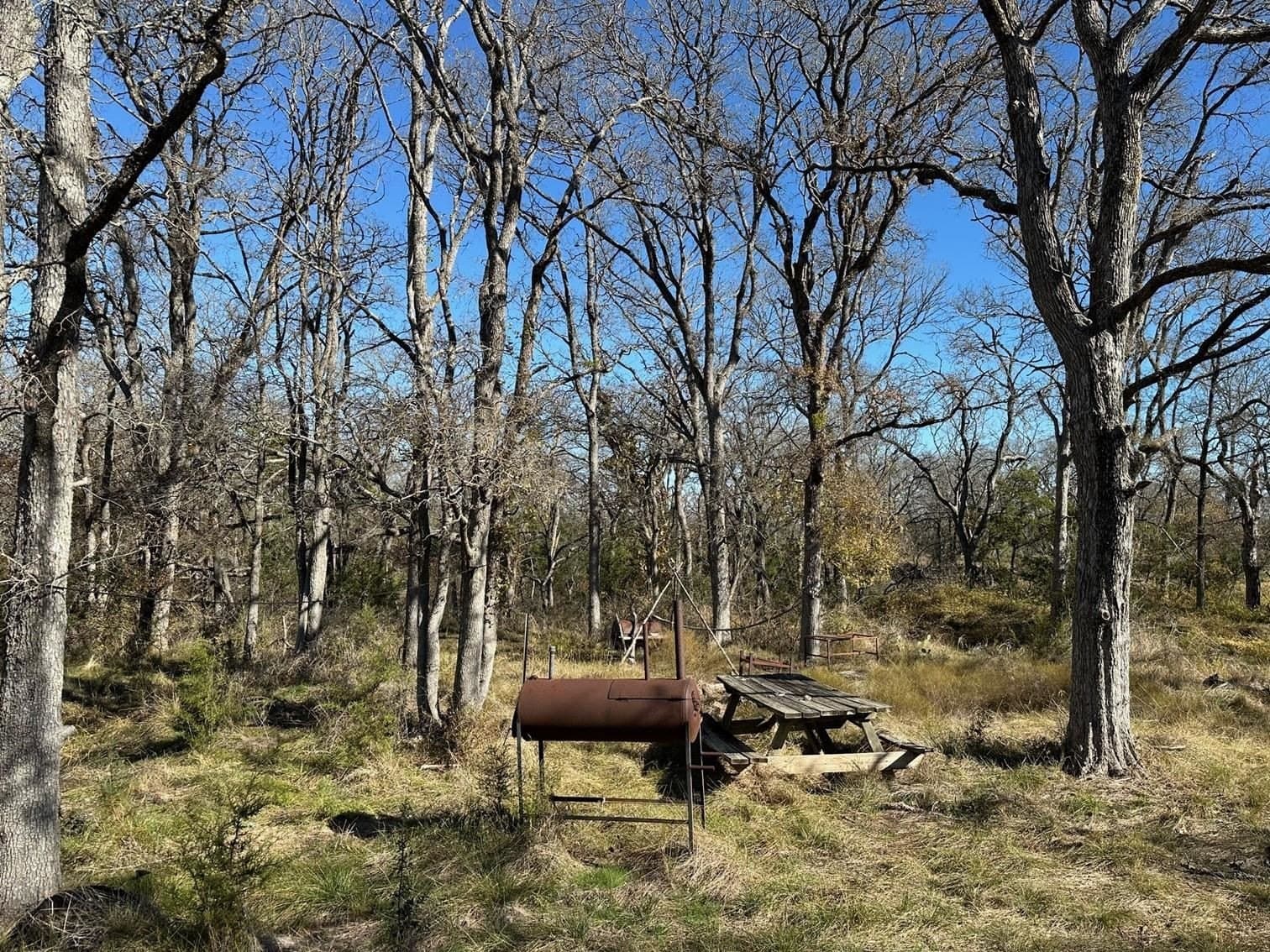 59 acres in Burnet County gallery image 4