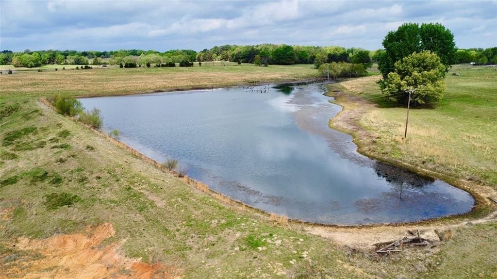 64.62 acres in Titus County gallery image 3
