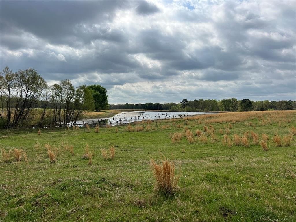 64.62 acres in Titus County featured view