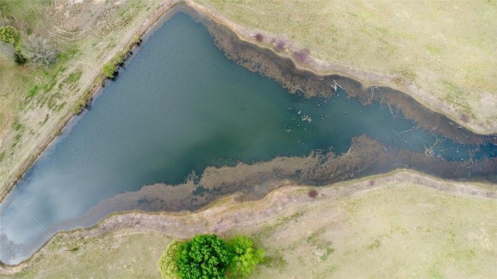 64.62 acres in Titus County gallery image 4