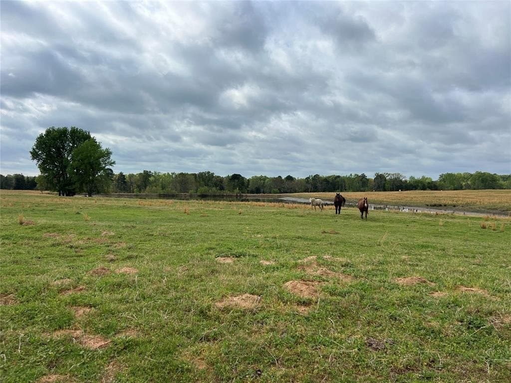 64.62 acres in Titus County gallery image 2