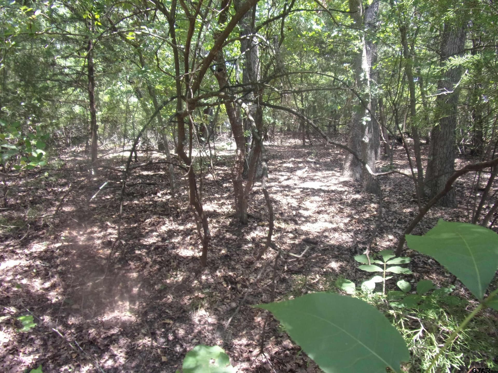 0.21 acres in Van Zandt County - photo 8