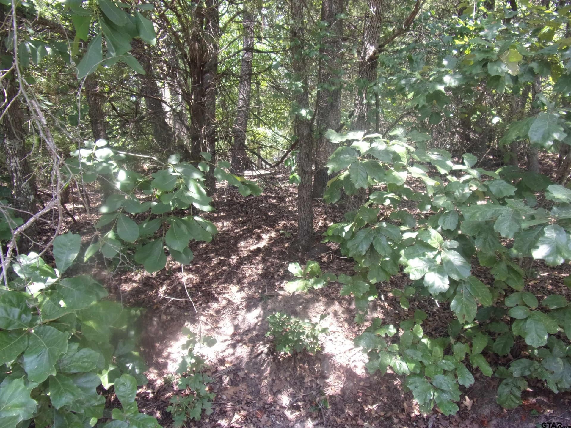 0.21 acres in Van Zandt County - photo 5