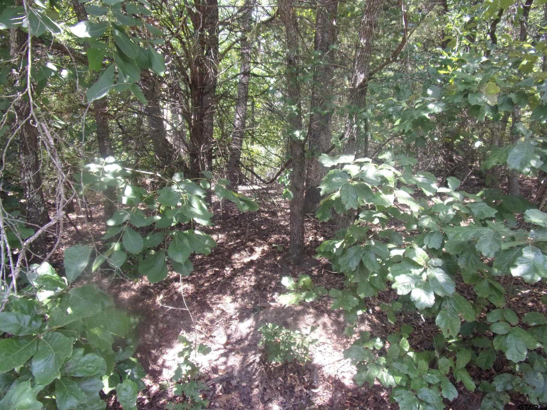 0.21 acres in Van Zandt County - photo 4