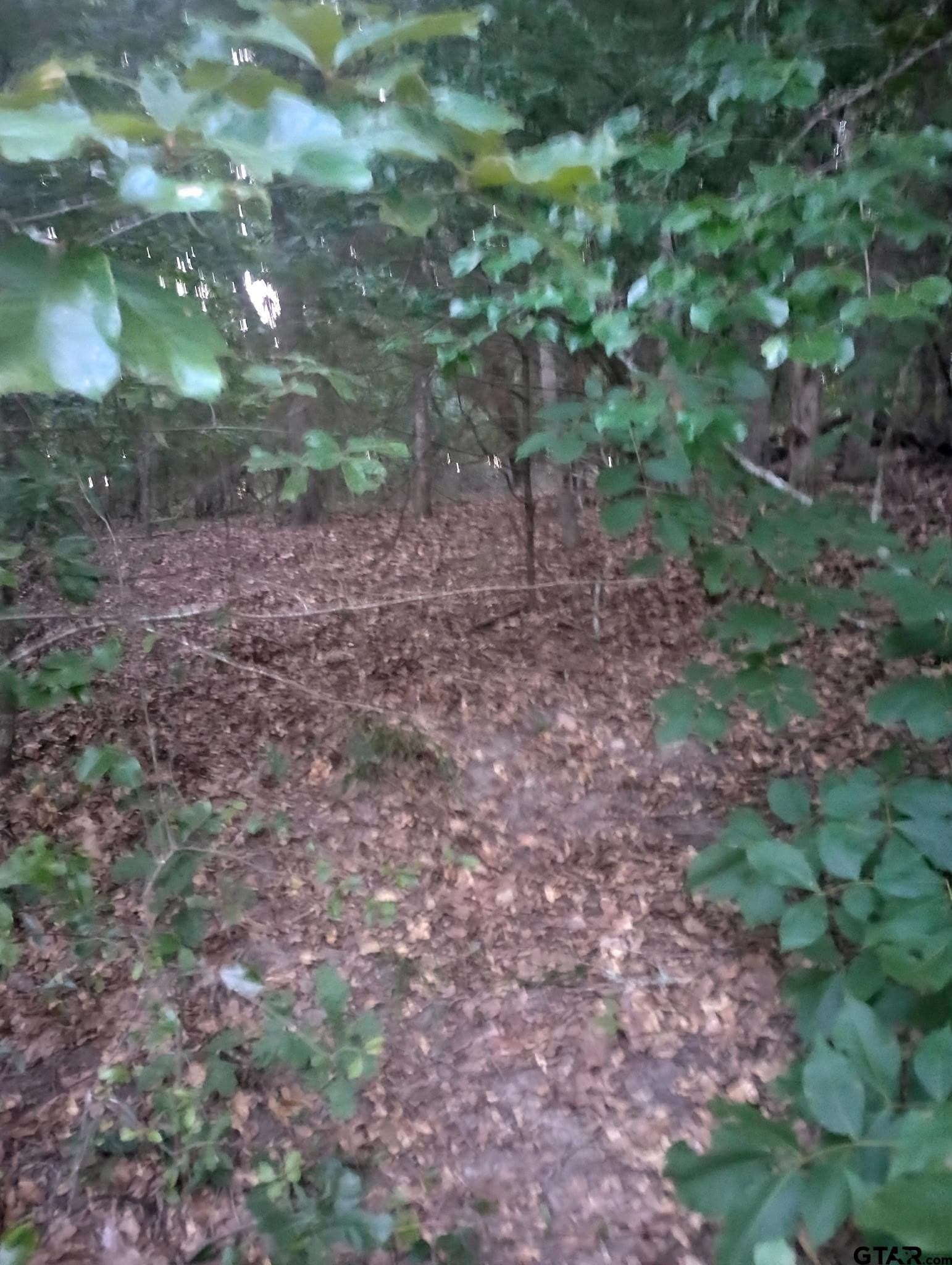 0.21 acres in Van Zandt County