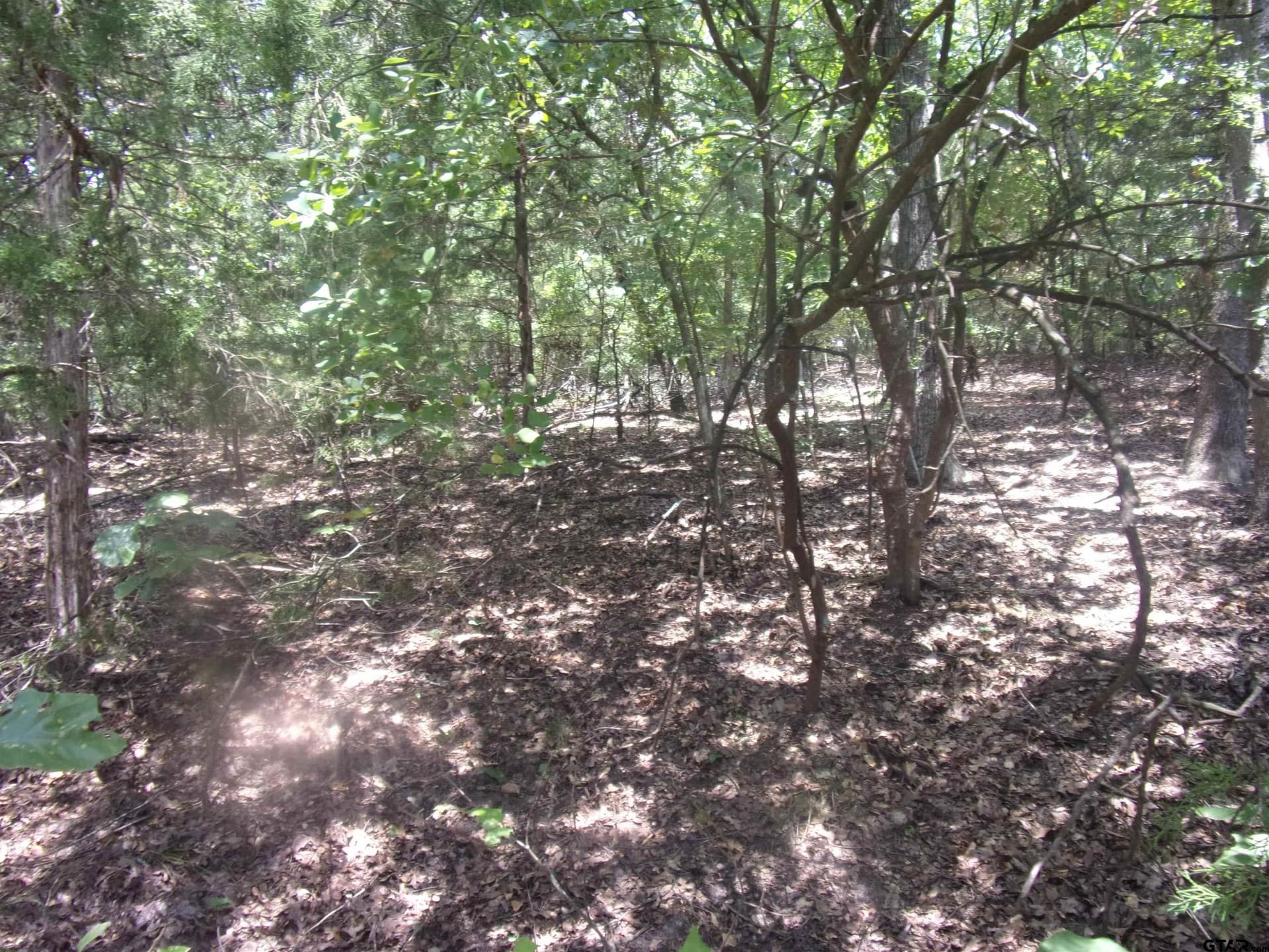 0.21 acres in Van Zandt County - photo 7