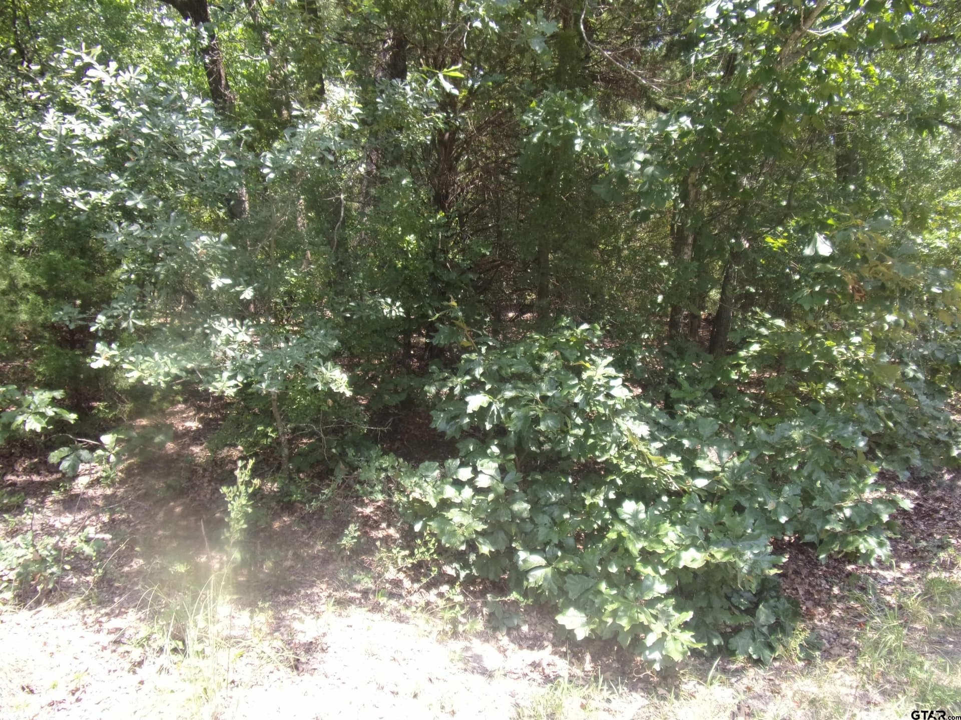 0.21 acres in Van Zandt County - photo 9