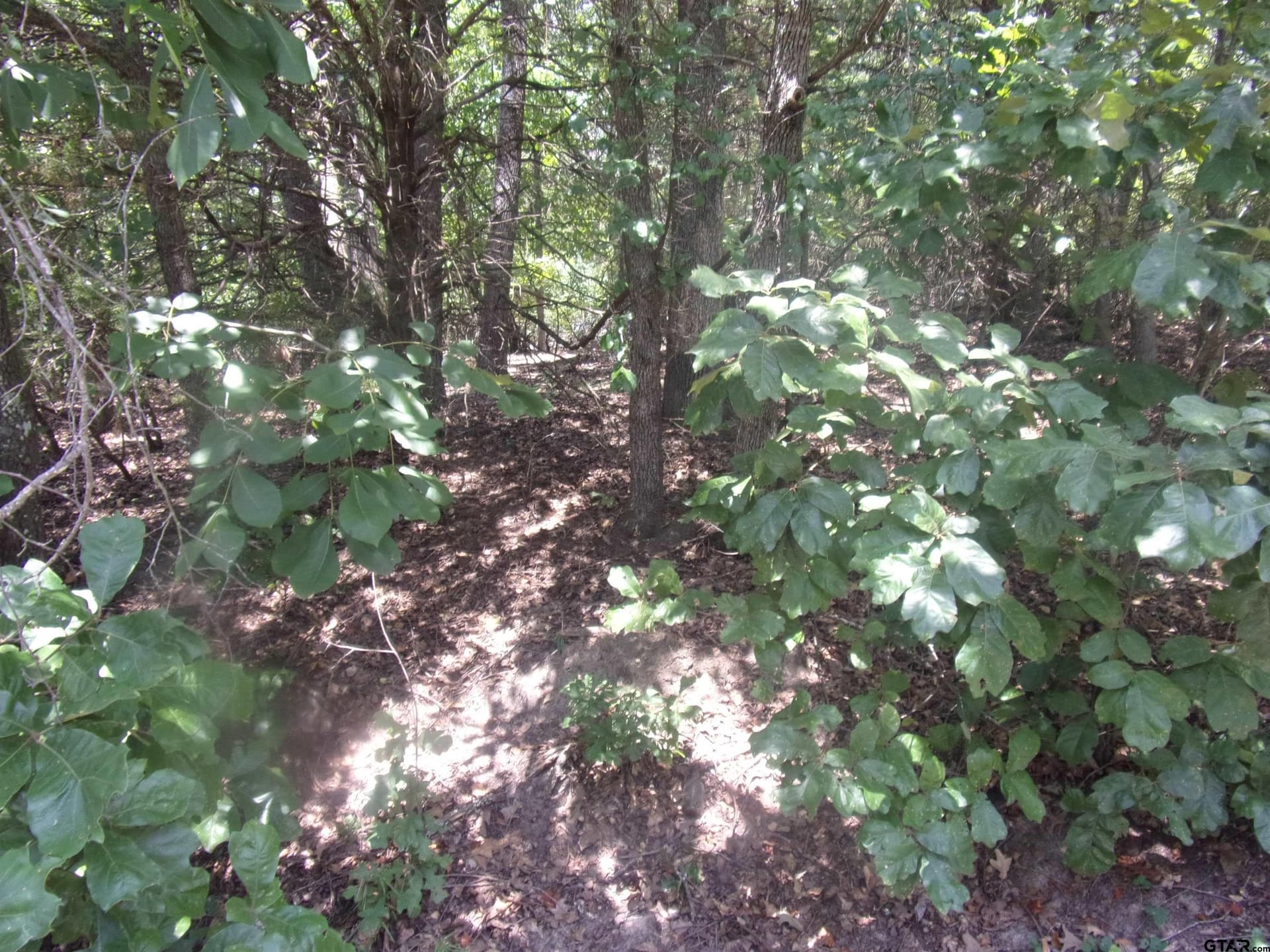 0.21 acres in Van Zandt County - photo 6
