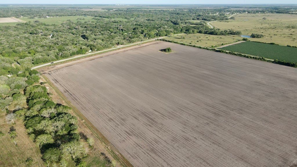 10 acres in Blessing Area County - photo 8