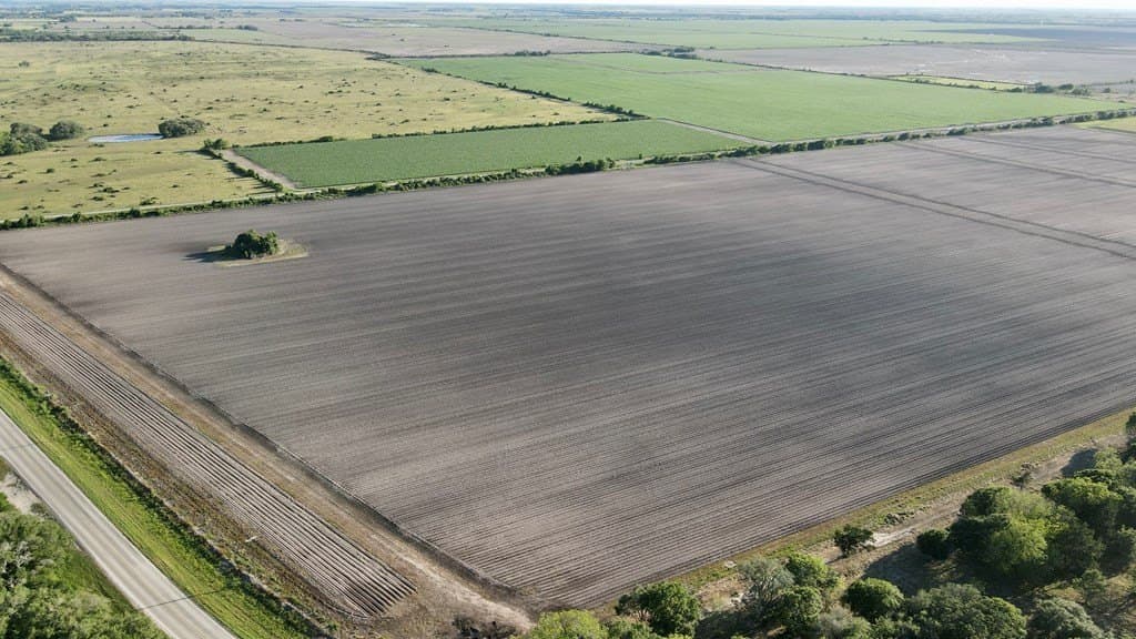 10 acres in Blessing Area County - photo 5