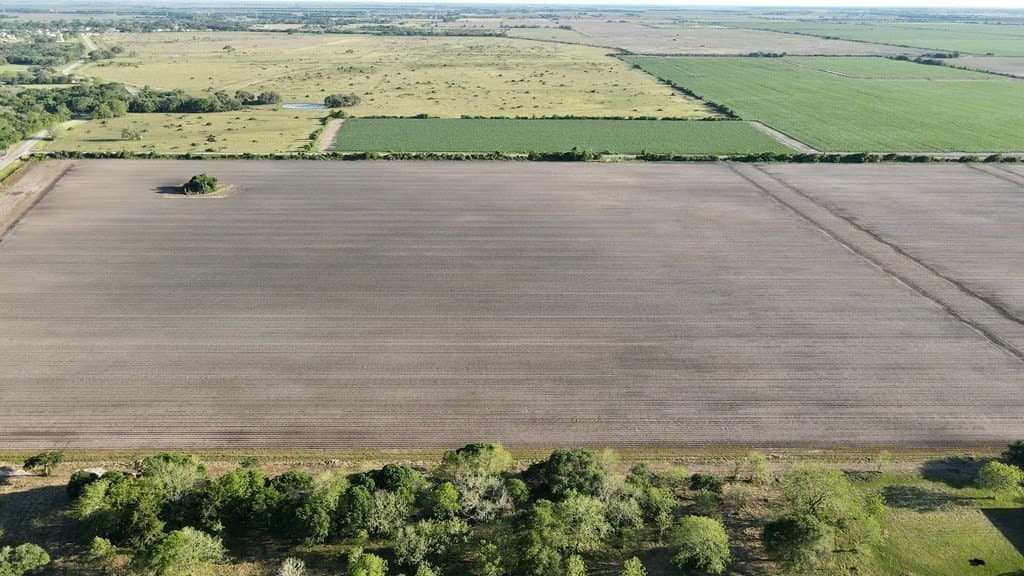 10 acres in Blessing Area County - photo 6