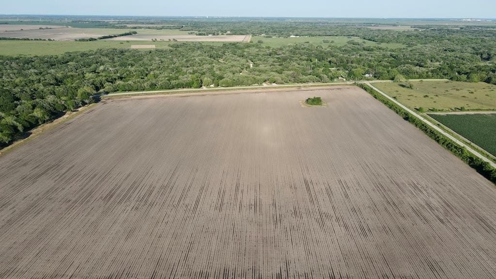 10 acres in Blessing Area County - photo 7