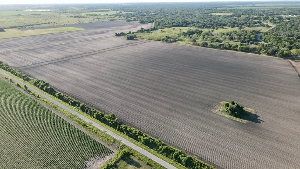 10 acres in Blessing Area County - photo 4