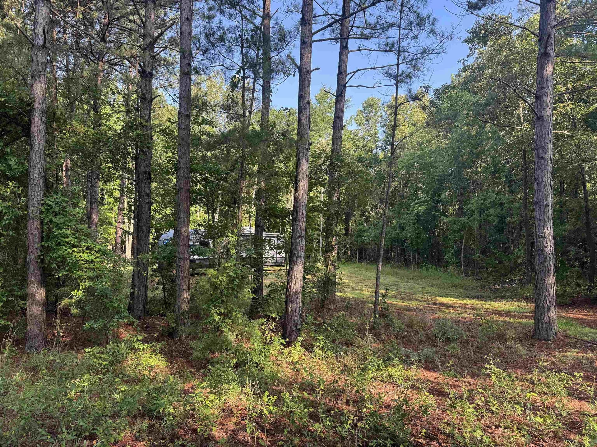 1 acres in Texas County gallery image 2