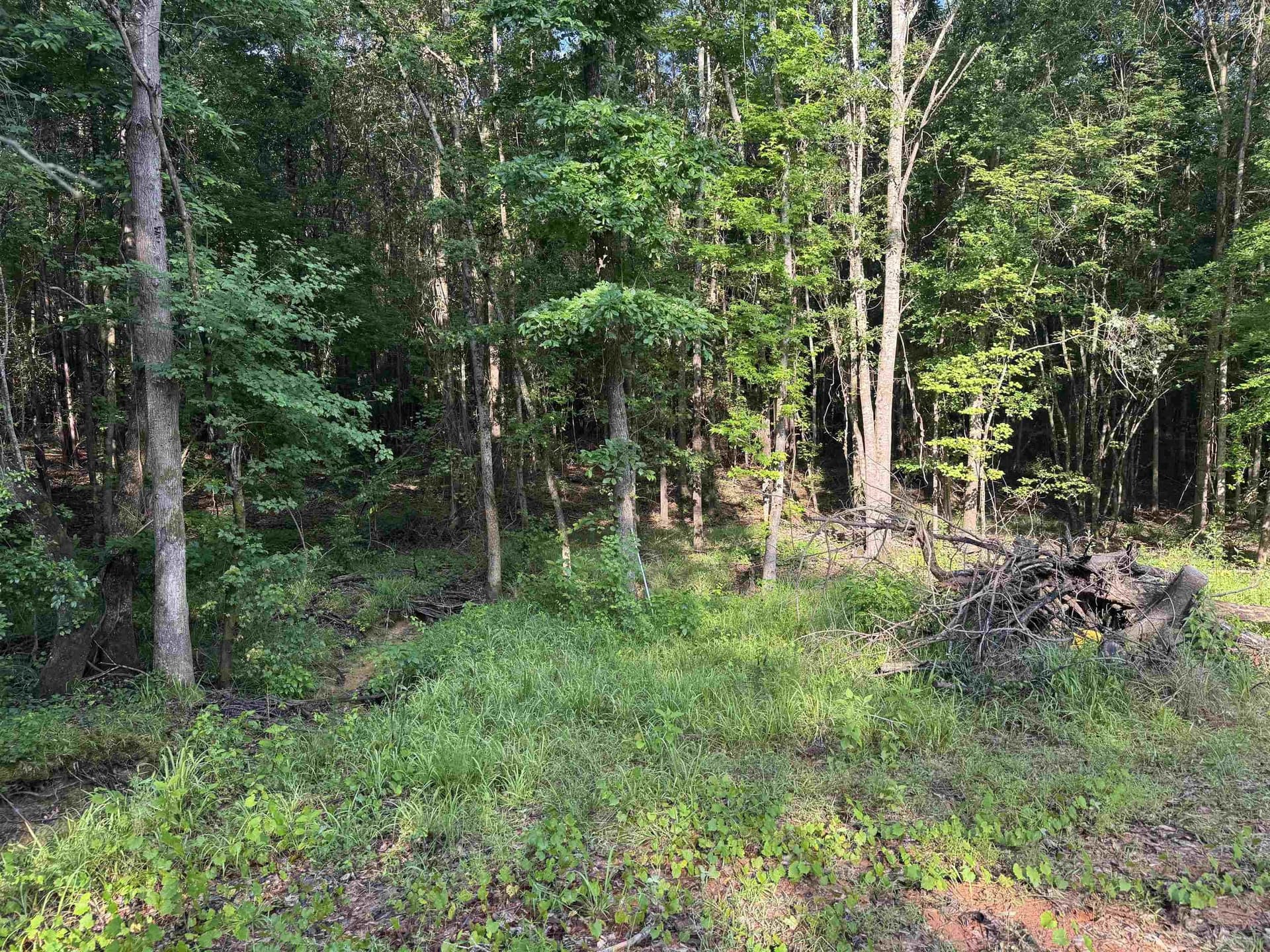 1 acres in Texas County featured view
