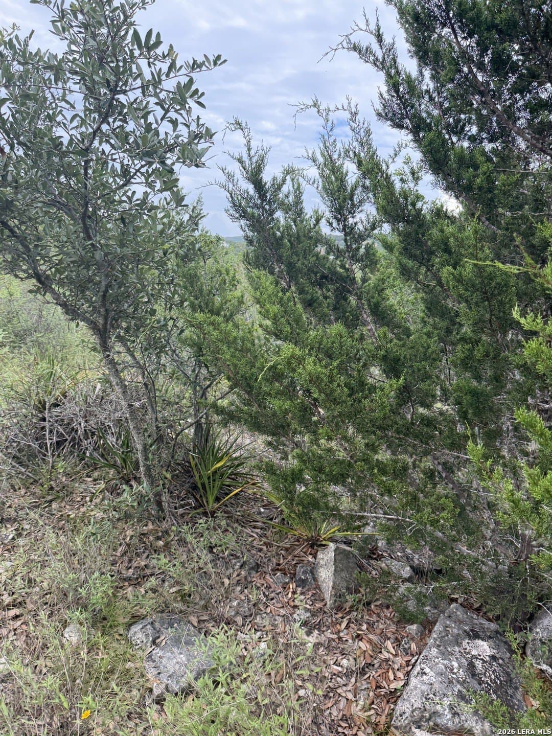 2.03 acres in Medina County - photo 9