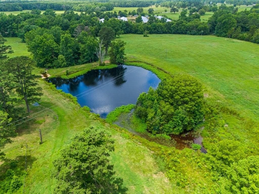 138 acres in Upshur County gallery image 4