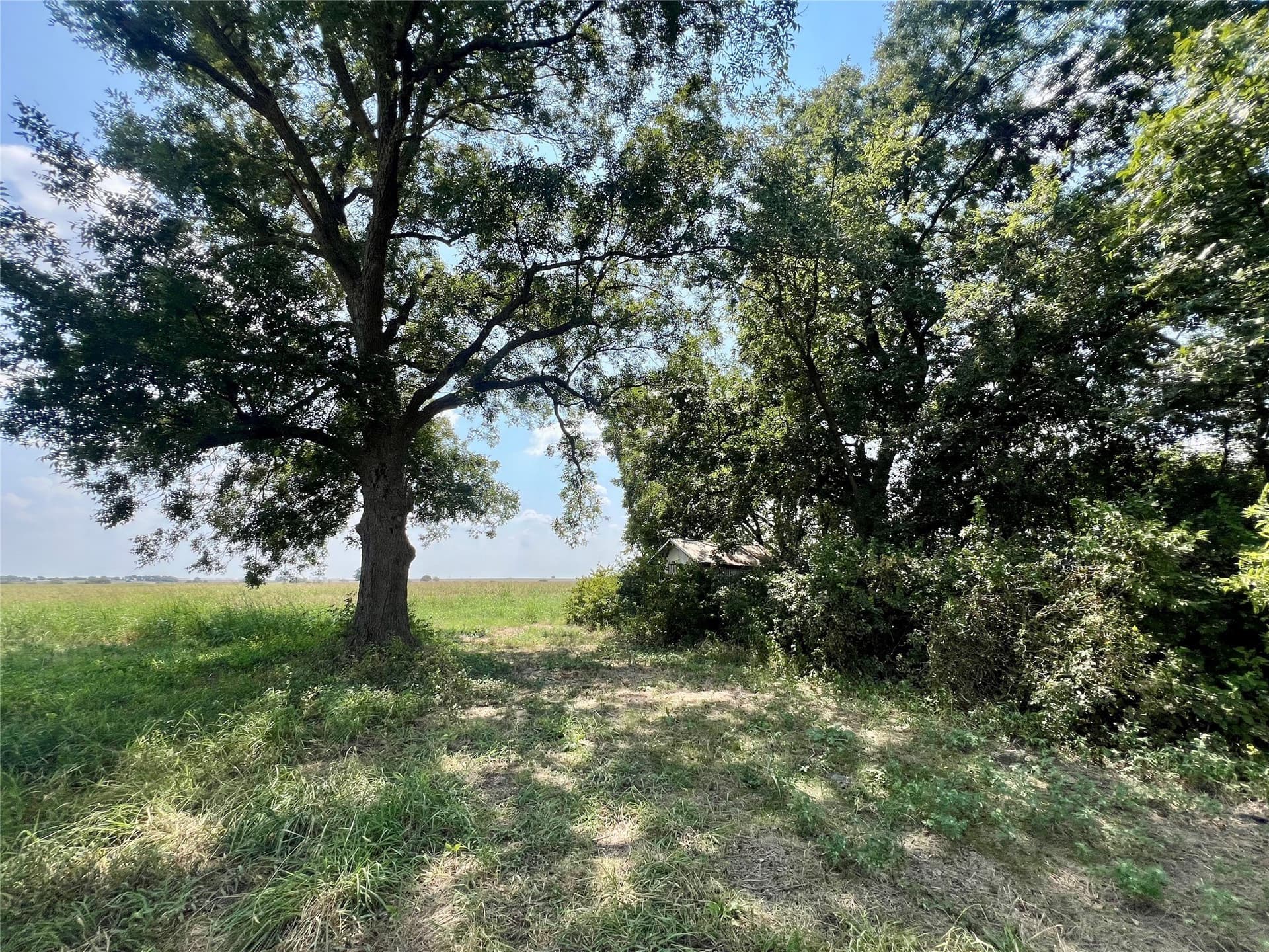 24 acres in Ellis County - photo 10