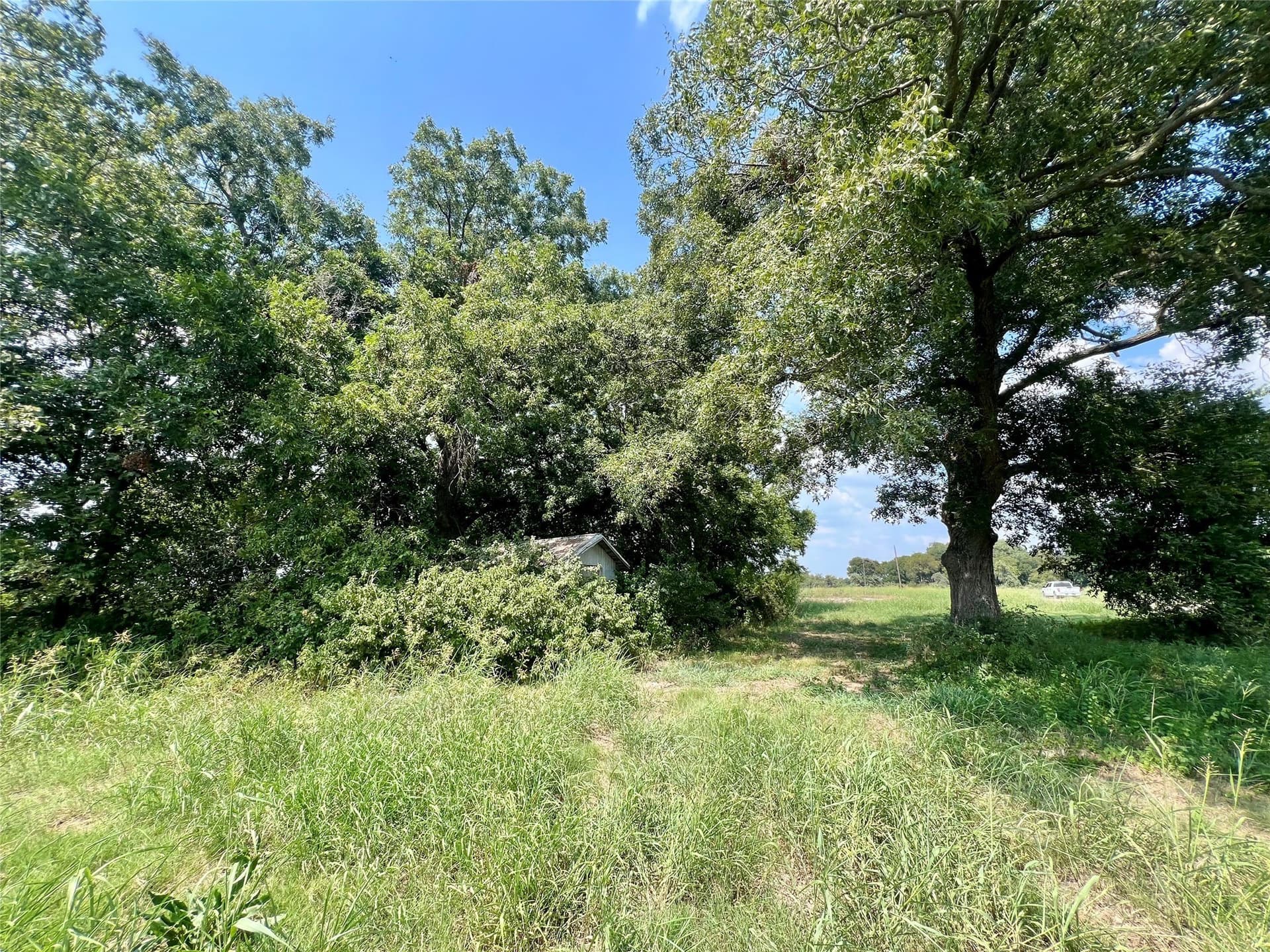 24 acres in Ellis County - photo 8