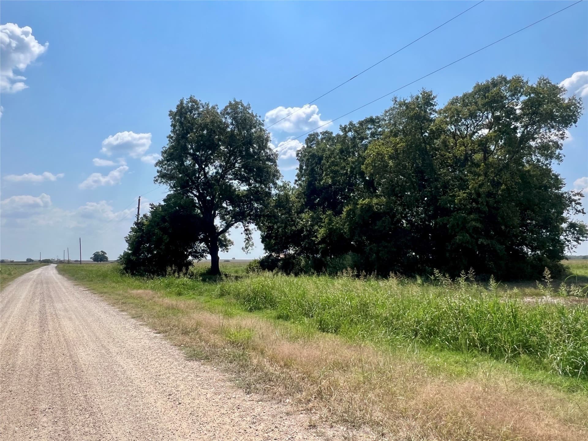 24 acres in Ellis County - photo 7