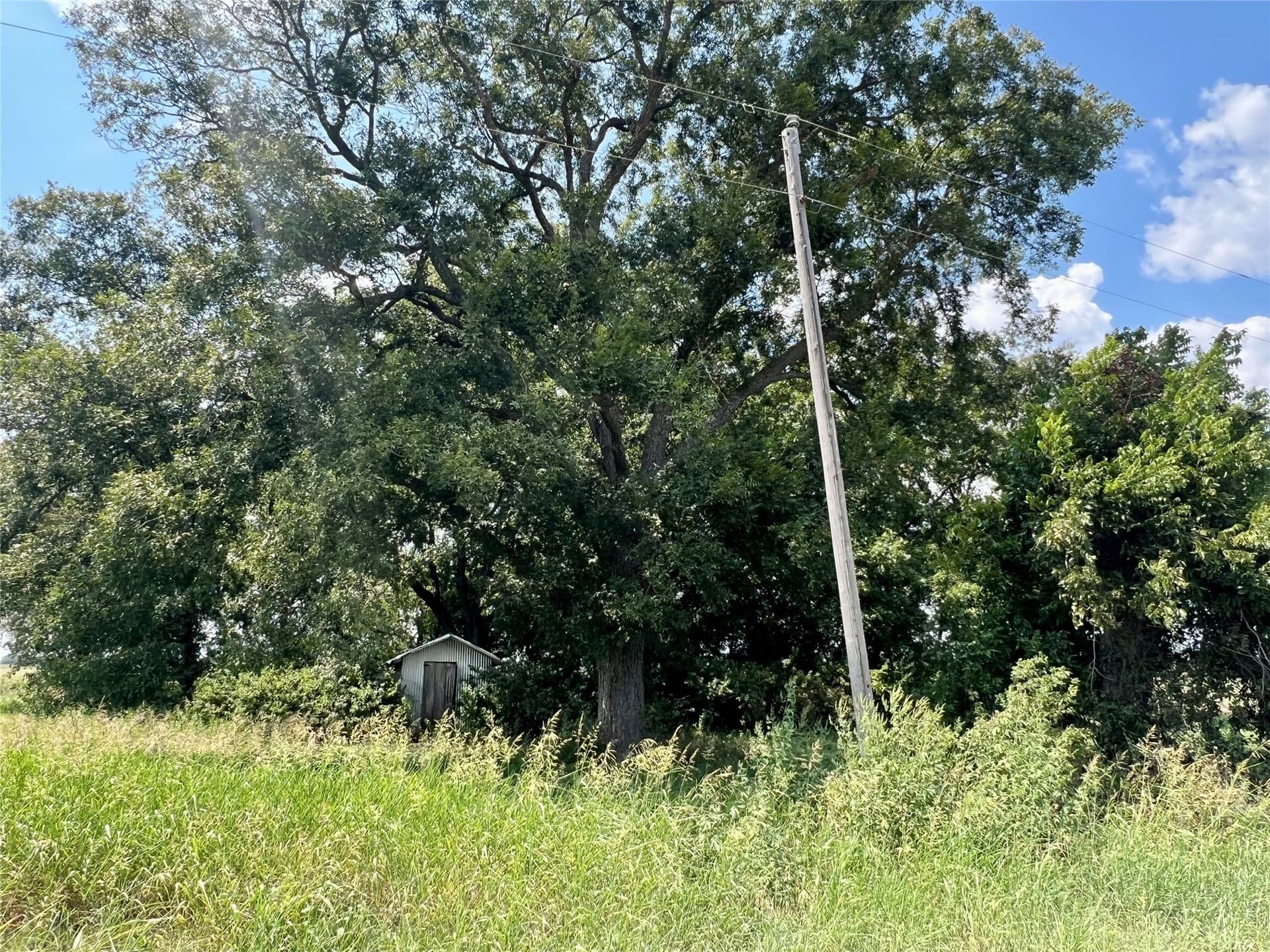 24 acres in Ellis County - photo 13