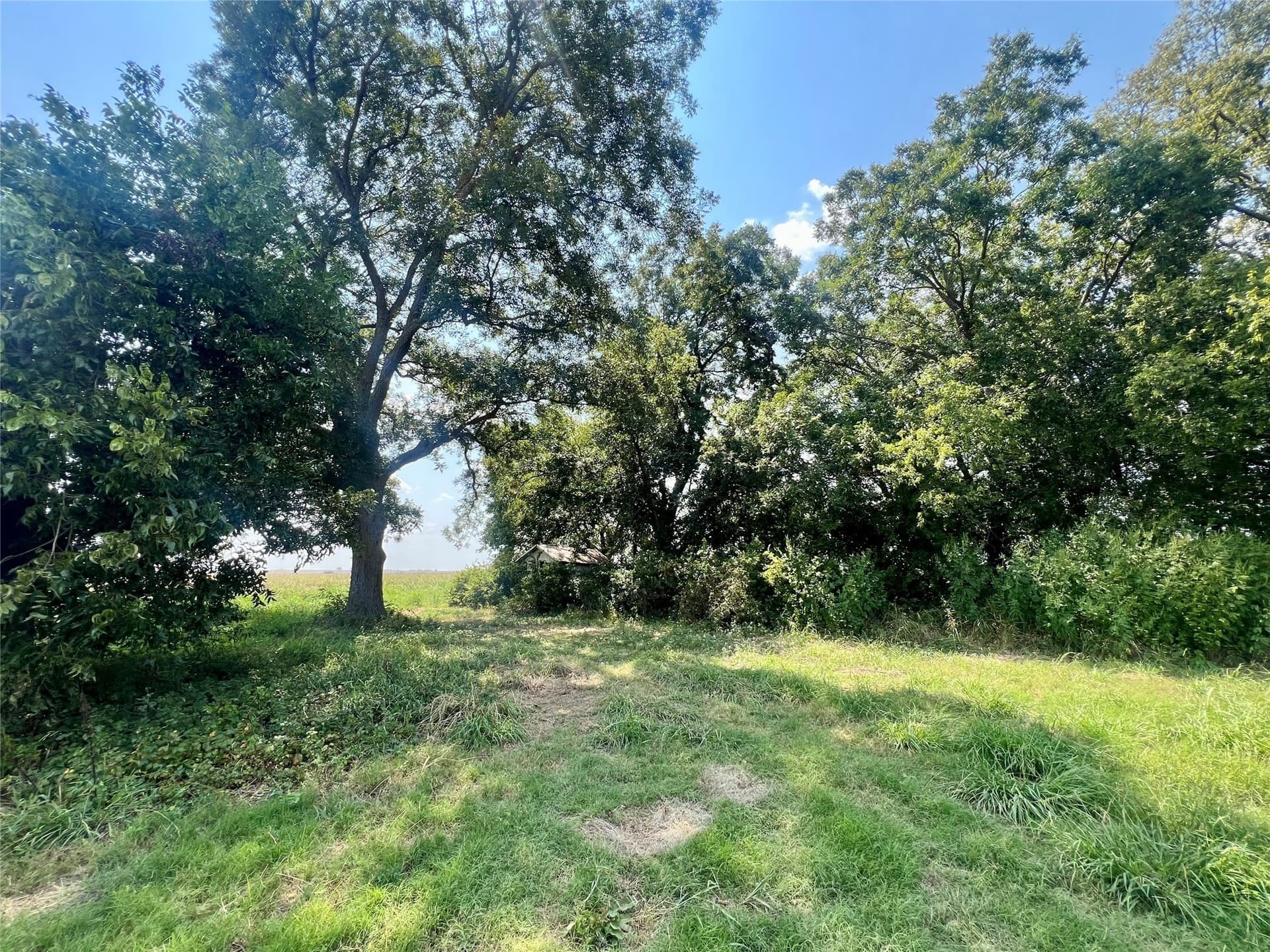 24 acres in Ellis County - photo 9