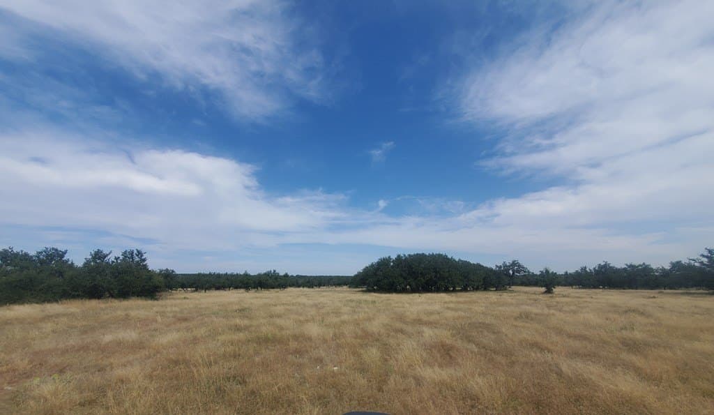 17.96 acres in Menard County - photo 7