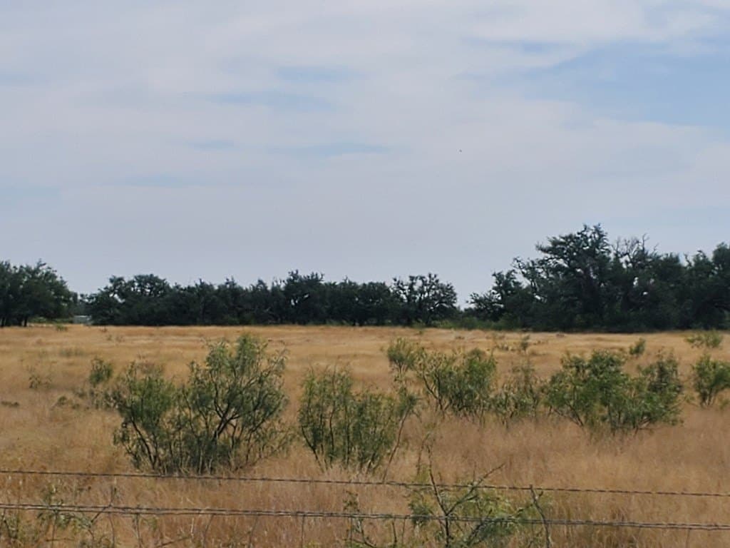 17.96 acres in Menard County gallery image 3