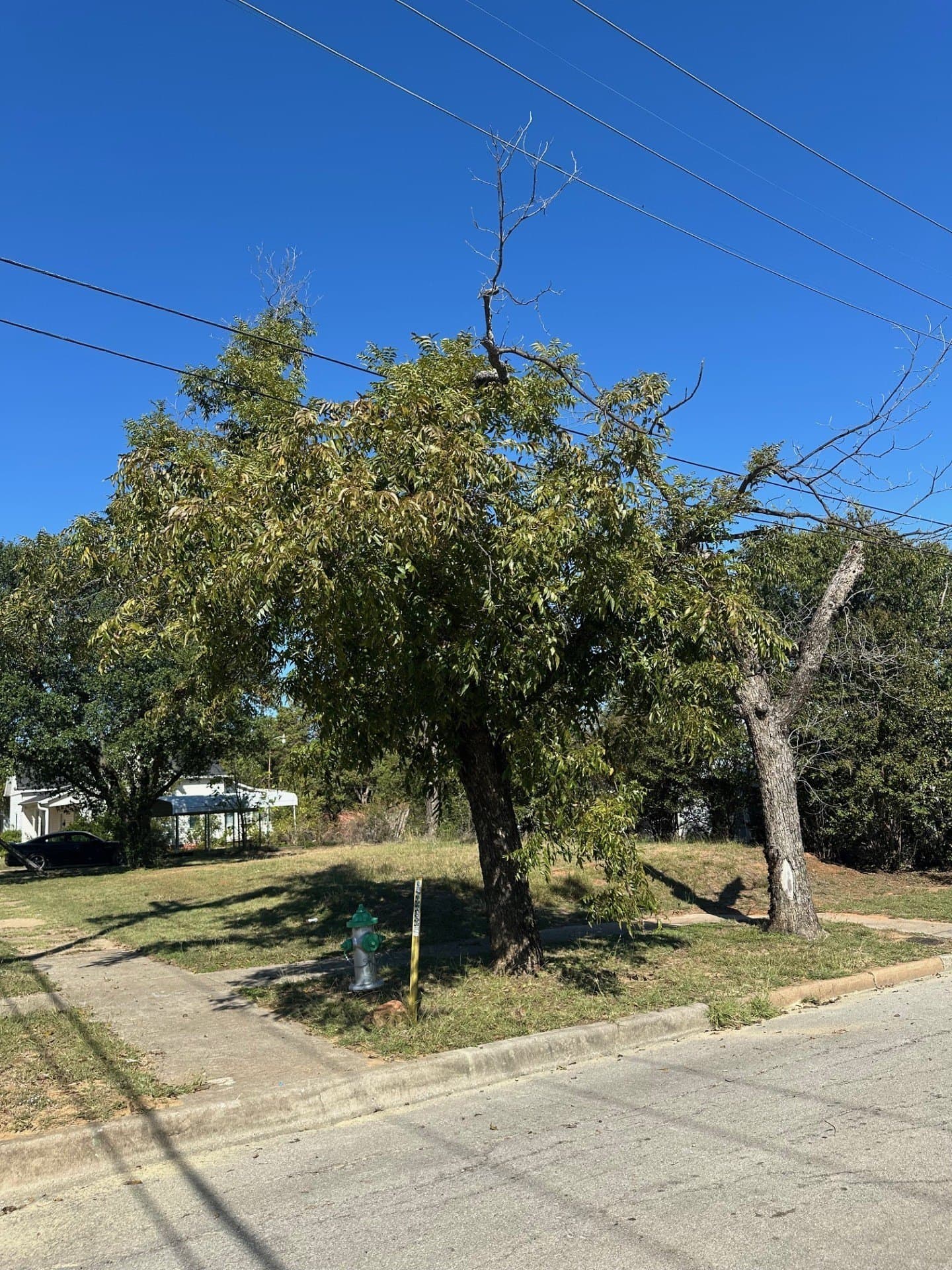 0.14 acres in Palo Pinto County - photo 3