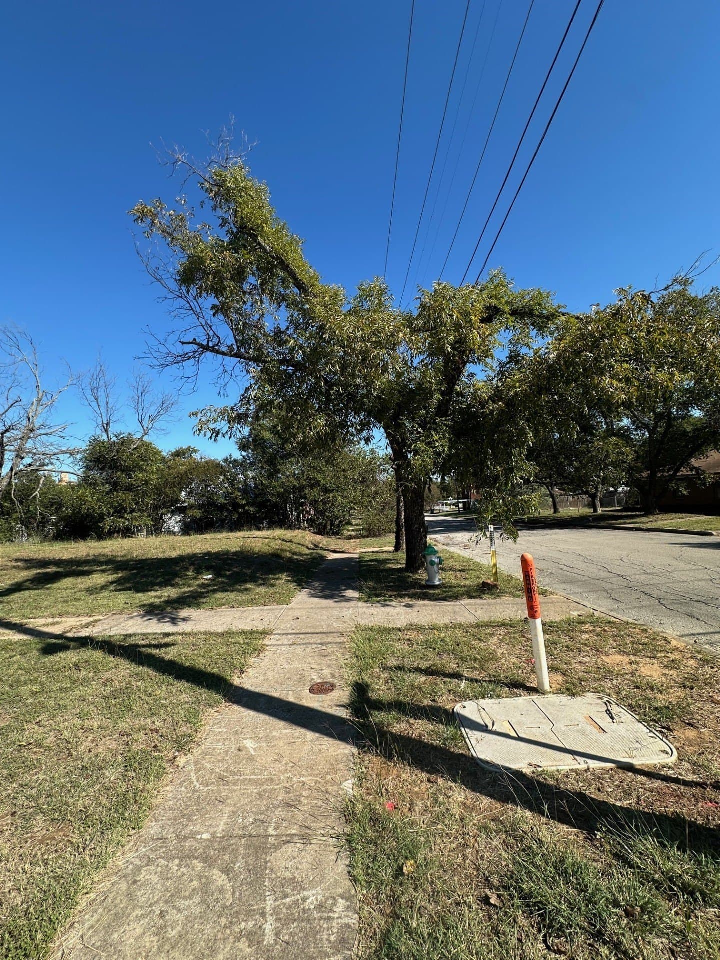 0.14 acres in Palo Pinto County - photo 4