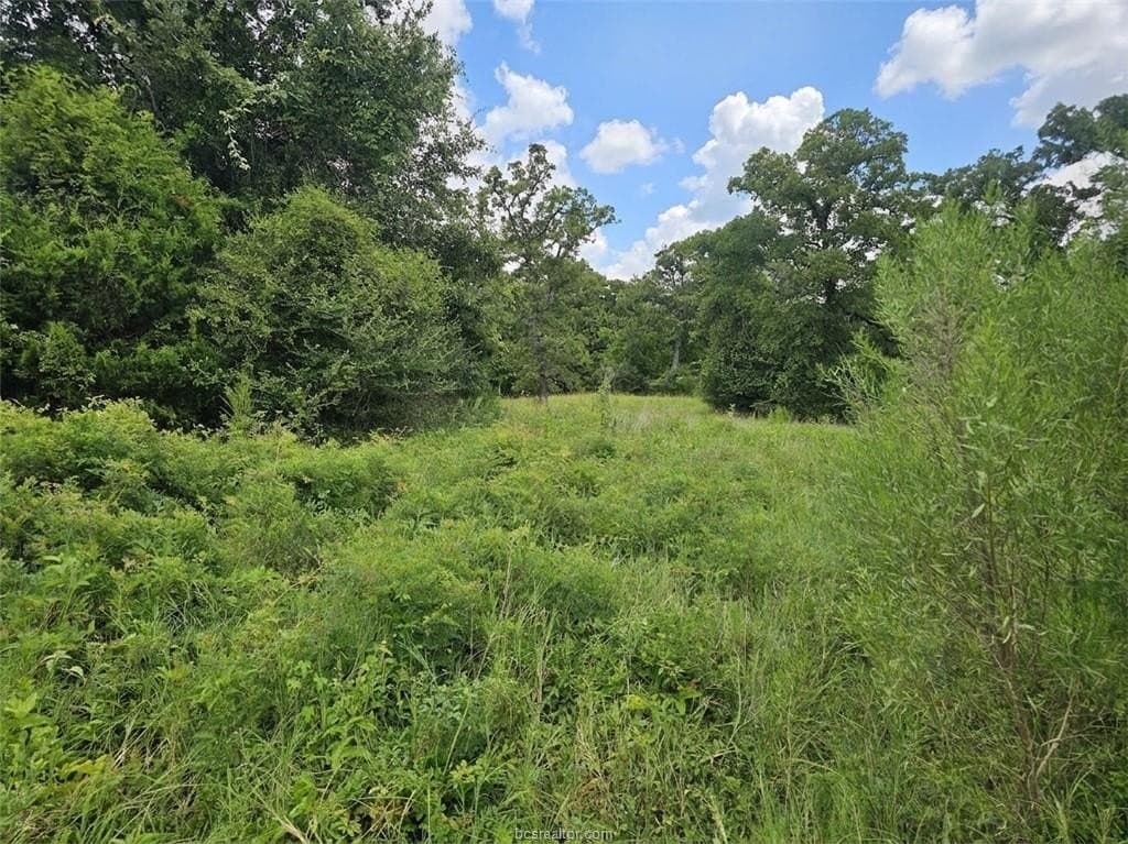 1.9 acres in Grimes County gallery image 4