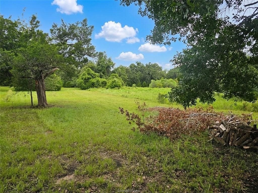 1.9 acres in Grimes County gallery image 3