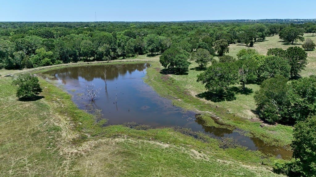 140 acres in Anderson County - photo 5