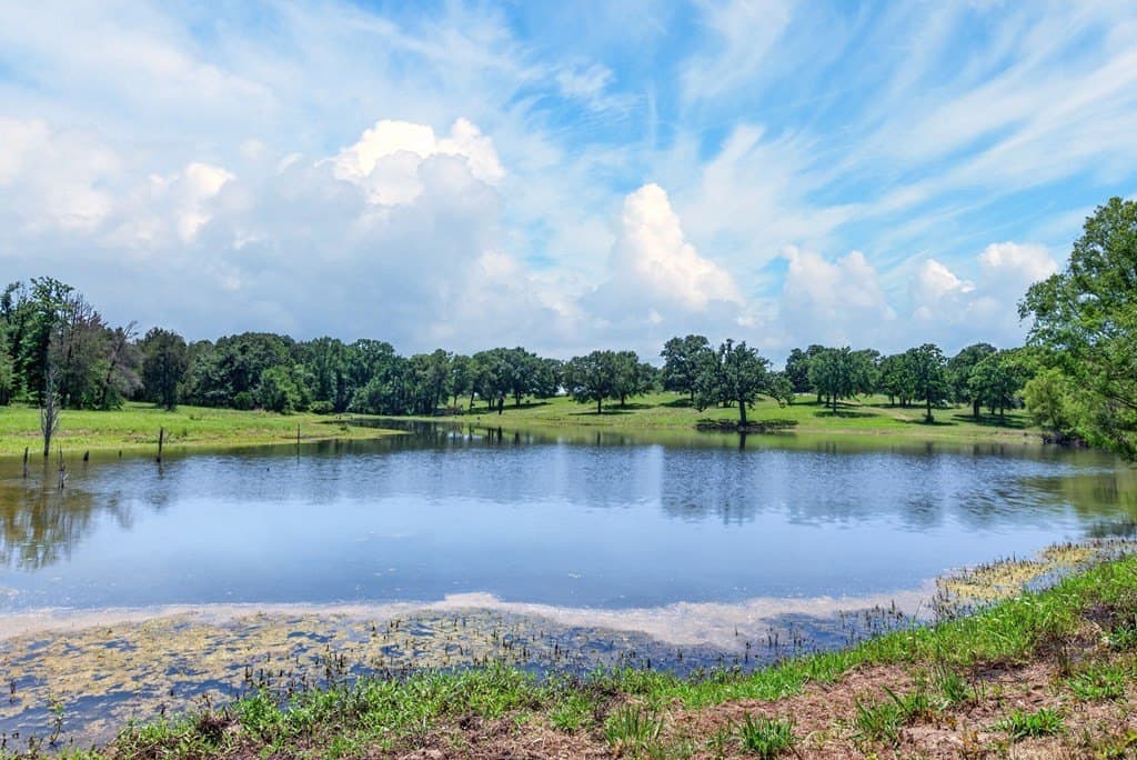 140 acres in Anderson County - photo 7