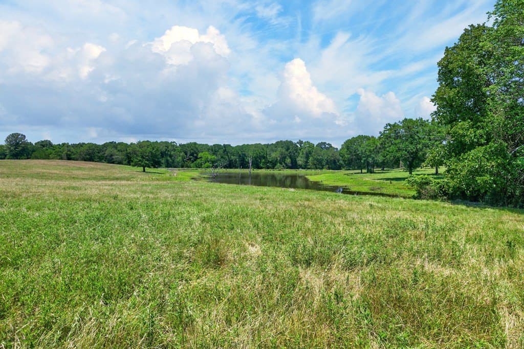 140 acres in Anderson County - photo 8