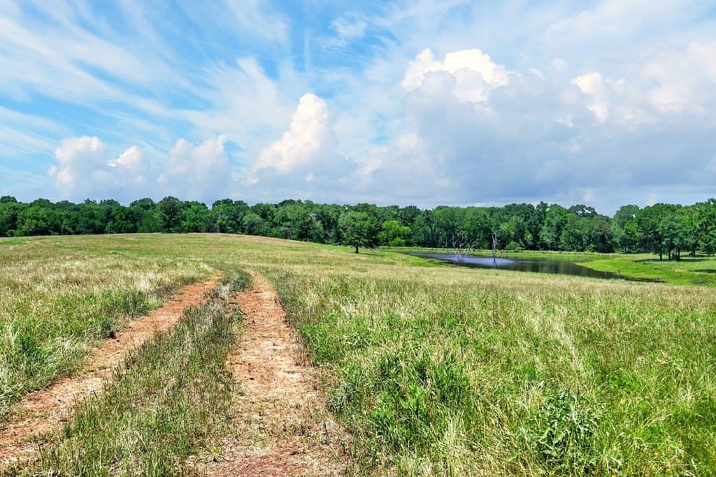 140 acres in Anderson County - photo 16