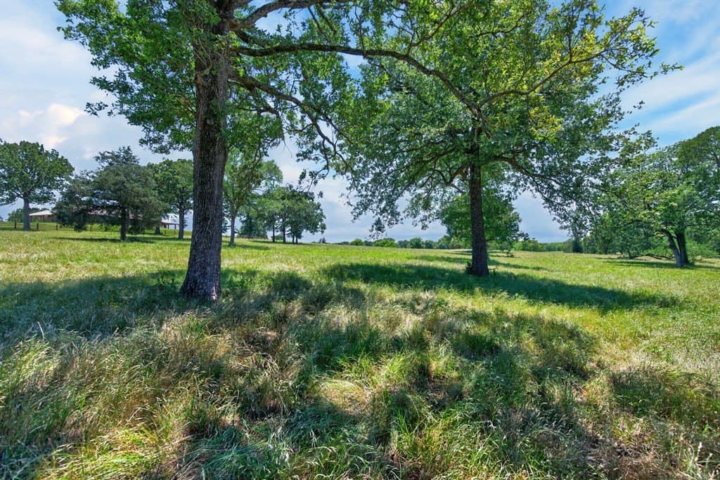 140 acres in Anderson County - photo 13