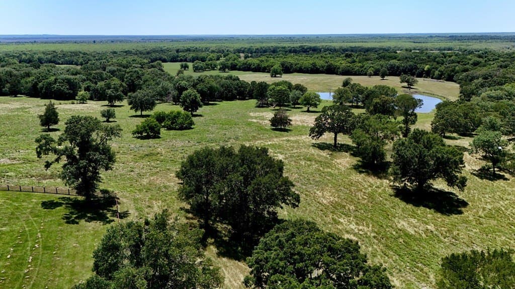 140 acres in Anderson County - photo 4